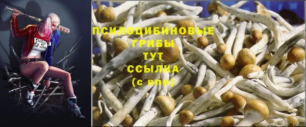 тгк Семикаракорск
