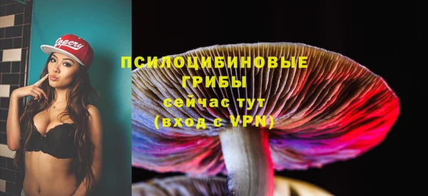 тгк Семикаракорск