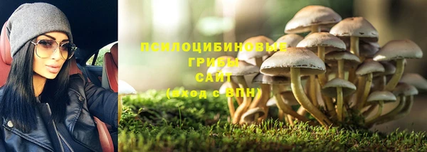 стаф Семёнов