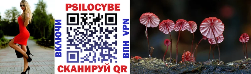 Псилоцибиновые грибы мицелий  Купить  Пермь 